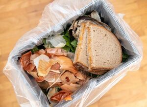 España quiere dejar de desperdiciar alimentos - Mundo - ABC Color