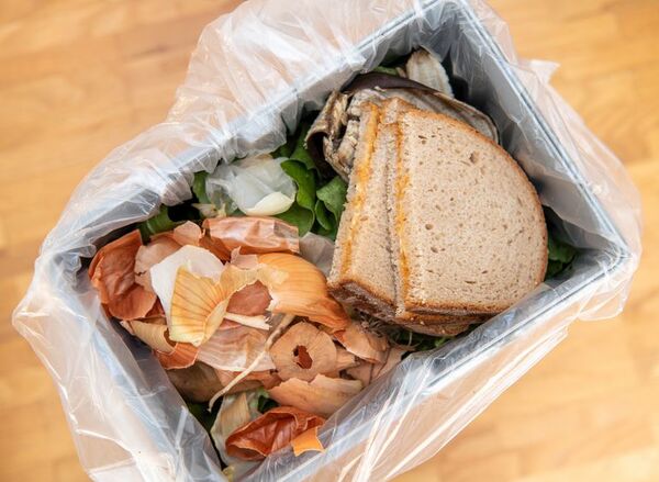 España quiere dejar de desperdiciar alimentos - Mundo - ABC Color