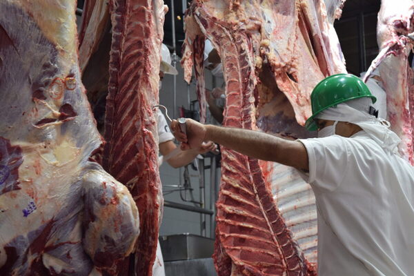 Exportación brasileña de carne bovina con precio medio récord en mayo