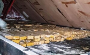 Interceptan cargamento de marihuana oculto en camión de gran porte