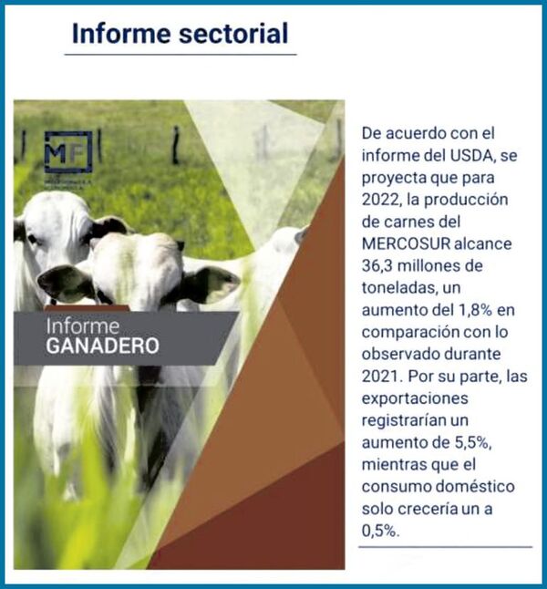 Informe ganadero: Descripción, análisis y perspectivas del sector - Económico - ABC Color