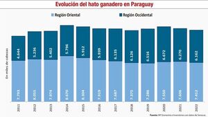 Situación y perspectivas de la ganadería bovina en Paraguay - Económico - ABC Color