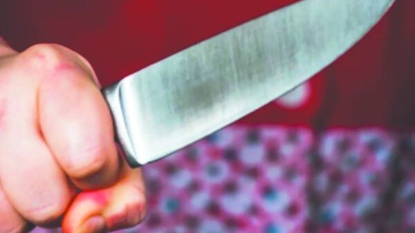 Abuela habría acuchillado a su nieta de 11 años