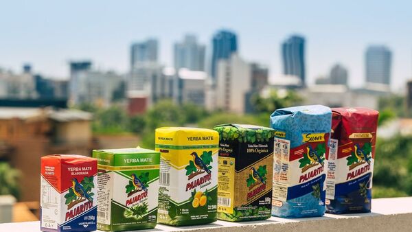 Yerba Mate Pajarito: seis décadas cultivando un tesoro nacional | Agronegocios | 5Días