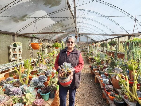 La producción de cactus y suculentas crece en Cordillera - Nacionales - ABC Color
