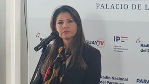 Avión iraní: “Hay avances solo que no podemos dar muchos datos”, dice ministra asesora - Policiales - ABC Color