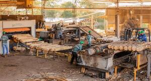 Fepama arranca la “Semana de la Madera” para promover el sector foresto- industrial del Paraguay
