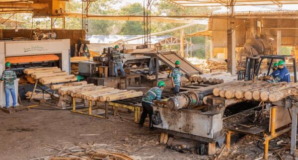 Fepama arranca la “Semana de la Madera” para promover el sector foresto- industrial del Paraguay