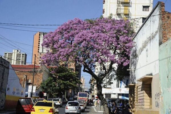 Meteorología: “Veranillo de San Juan” irá hasta el miércoles - A La Gran 7-30 - ABC Color