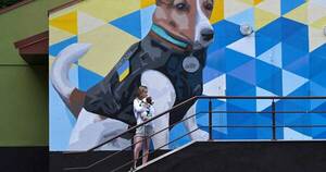 La Nación / Perro héroe de Ucrania inspira un mural y es premiado en Cannes