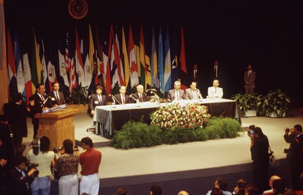 30 años de la Constitución: “La CN se viola todos los días”, dice exconstituyente - Nacionales - ABC Color