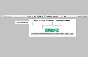 Hay dictamen favorable para inscripción automática de paraguayos en el extranjero - Política - ABC Color