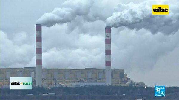 Impacto de gases de ganadería y agricultura en EEUU son mínimos - ABC Rural - ABC Color