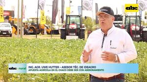 Apuesta agrícola en el Chaco debe ser con asesoramiento - ABC Rural - ABC Color