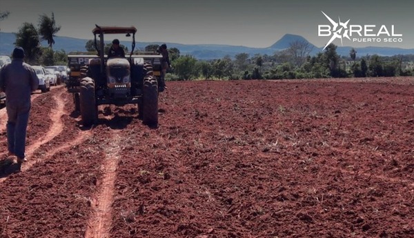 Efectos de la sequía: Capeco reporta merma en la producción agrícola
