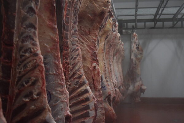 Valor medio de la tonelada de carne brasileña a China creció más de US$ 300 en mayo