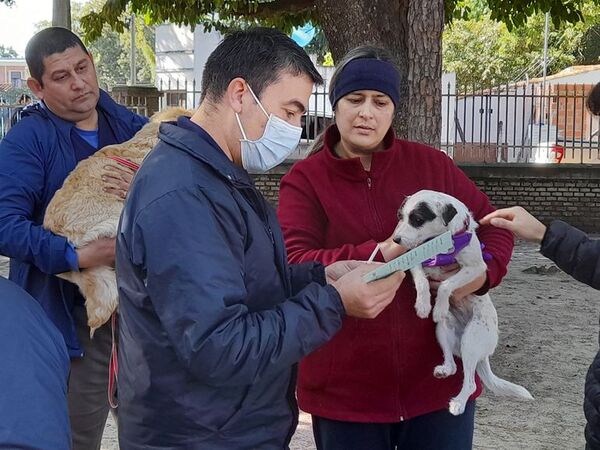 Realizan censo de mascotas y campaña de vacunación antirrábica - Mascotas - ABC Color