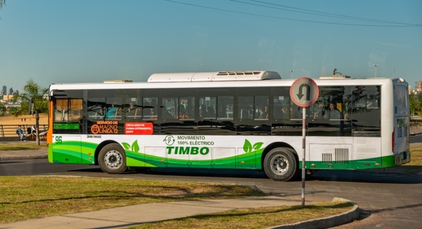 MAGNO Línea 12 del grupo TIMBO impulsa la Electromovilidad