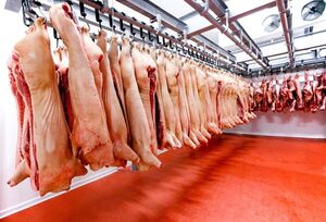 Sector porcino intenta recuperar sus niveles de exportación | 1000 Noticias