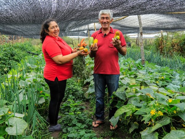 Tenonderã: Unas 1.500 nuevas familias reciben capital semilla para emprendimientos productivos - .::Agencia IP::.