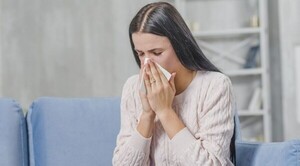 Diario HOY | Peluches, cortinados y alfombras pueden desencadenar crisis respiratoria en alérgicos