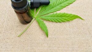 España da un primer paso para legalizar el cannabis medicinal