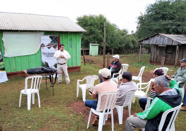 Capacitan en restauración de bosques protectores en Tavaí y San Juan Nepomuceno