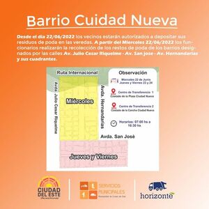 Recogerán ramas de poda en el barrio Ciudad de CDE - Noticde.com