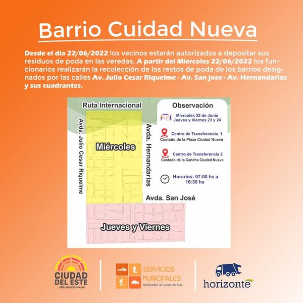 Recogerán ramas de poda en el barrio Ciudad de CDE - Noticde.com