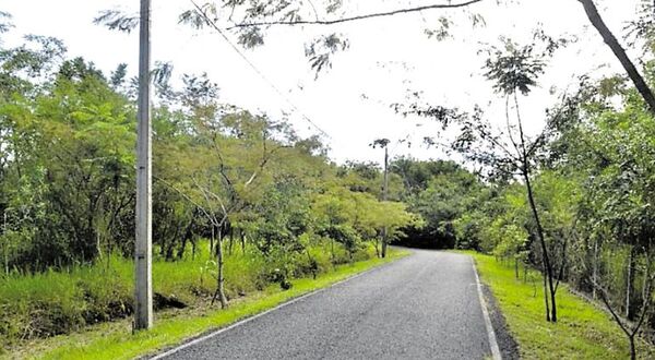 Parque Guasu Metropolitano será una reserva ecológica - Nacionales - ABC Color