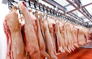 Exportación de carne de cerdo a Taiwán está cada vez más cerca, aseguran