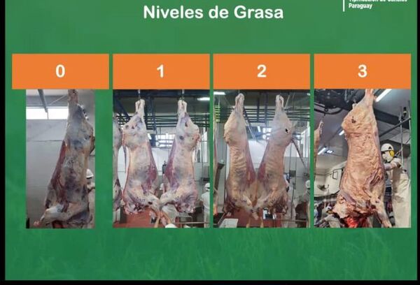 Postergan implementación de la tipificación de carne bovina - Nacionales - ABC Color