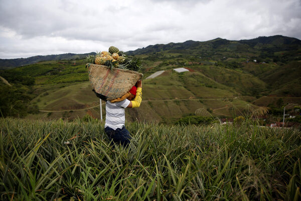 Los altos precios y la escasez de insumos preocupan al sector agrícola de América - MarketData