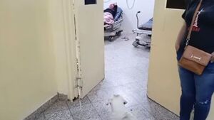 Perrita acompañó a abuela a hospital y no se despegó de ella