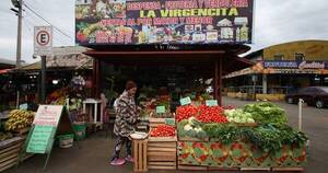 La Nación / Precios de verduras se mantienen, por ahora