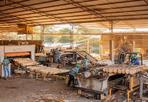 La Federación Paraguaya de Madereros arranca este miércoles su “Semana de la Madera” - .::Agencia IP::.