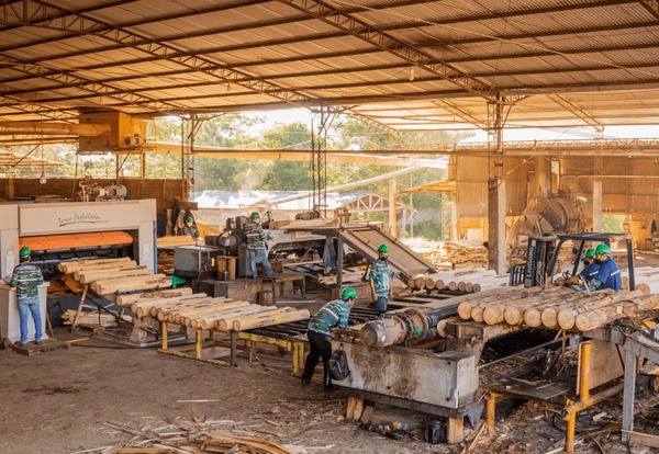 La Federación Paraguaya de Madereros arranca este miércoles su “Semana de la Madera” - .::Agencia IP::.