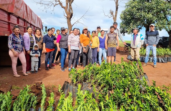Campesinos consolidan su producción y aprovechan mejoras viales realizadas al tramo que une Caazapá con Itapúa - .::Agencia IP::.