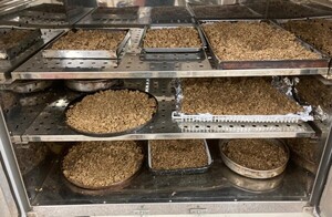 Residuos agroindustriales son analizados para obtener productos de alto valor | Tecnología | 5Días