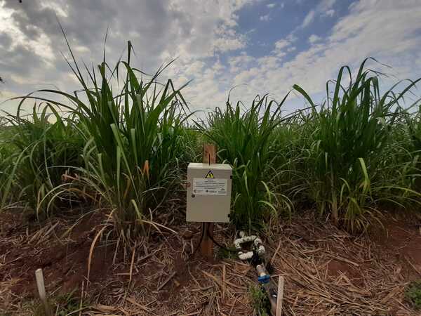 Realizarán seminario y talleres sobre innovaciones tecnológicas dentro la agricultura familiar campesina - .::Agencia IP::.