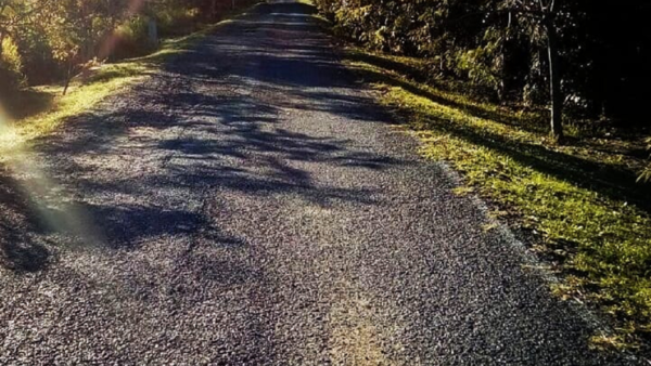 Parque Guasu: Camino a convertirse en reserva ecológica