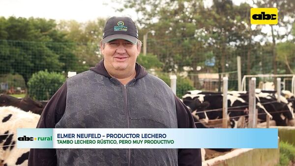 Tambo lechero rustico pero muy productivo - ABC Rural - ABC Color
