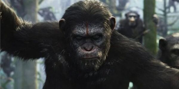 “El planeta de los simios” podría tener una nueva trilogía de películas