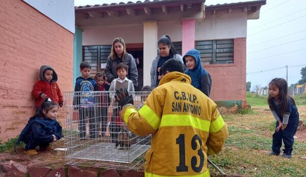 Mykurẽ fue rescatado por bomberos en escuela de San Antonio - Nacionales - ABC Color