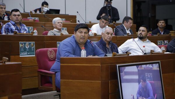 Los productores llevan al Senado preocupación por el contrabando