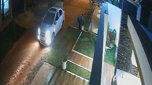Ladrón arrepentido devolvió la plantera que robó
