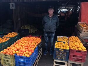 Temporada de mandarina: La fruta de buena demanda con beneficios para la salud