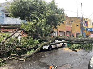 Diario HOY | Árbol cayó sobre un auto en Pa’ i Pérez