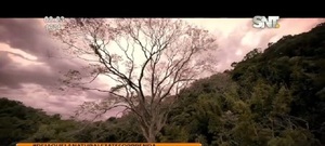 Se viene la 11ma. edición de ‘Colosos de la Tierra’ de 'A Todo Pulmón' - SNT
