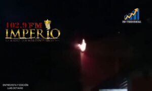 Causaron principio de incendio en una escuela al intentar quemar un panal de termitas - Radio Imperio